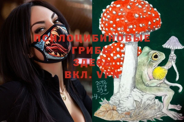 шишки Бугульма