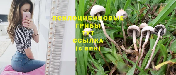 кокаин перу Бородино